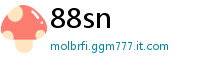 88sn